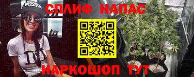 ГАЛЛЮЦИНОГЕННЫЕ ГРИБЫ Новозыбков