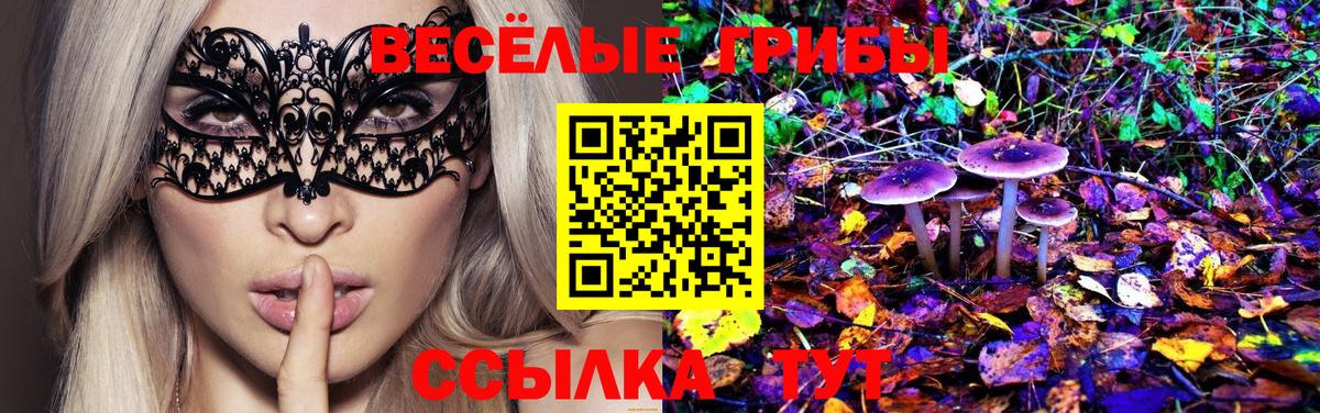 Галлюциногенные грибы прущие грибы Усолье-Сибирское