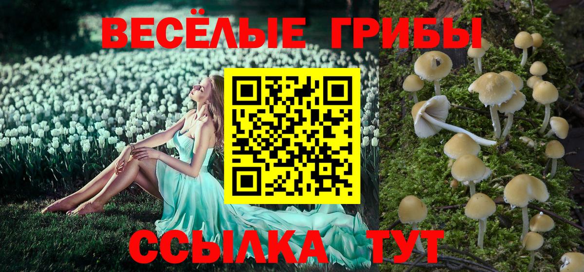 Галлюциногенные грибы GOLDEN TEACHER  Галлюциногенные грибы Cubensis  Вход с VPN  Усолье-Сибирское 